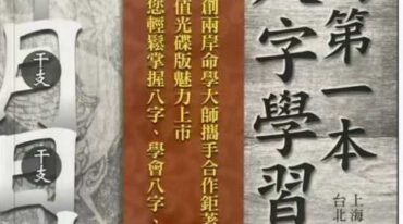 华艺博 张清渊 我的第一本八字学习书 412页pdf