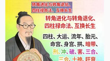 湖北盲派 盲派大运流年胎元命宫身宫暗拱暗带法窍600多页