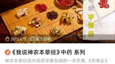 李老师天道五术音频