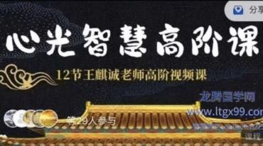 王麒诚 心光智慧高阶课 课程