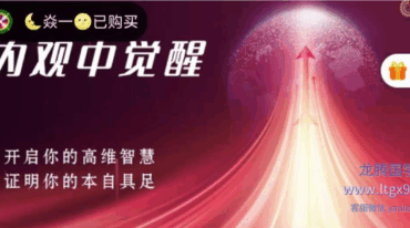 内观中觉醒 课程合集