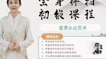 全身禅拍初级课程