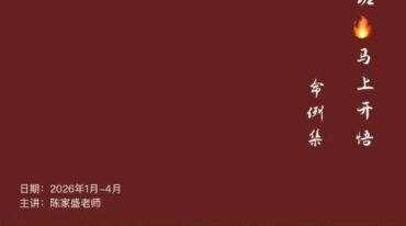 陈家盛丙午开悟班微信案例集pdf