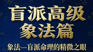 钟小建盲派高级象法篇pdf