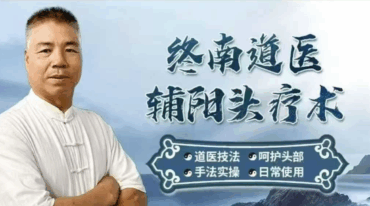 终南道医辅阳头疗5集视频