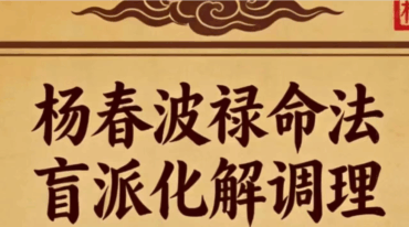 杨春波禄命法盲派八字化解调理A4铜版pdf