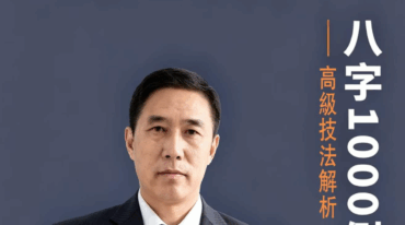 淮源子 八字1000例高级技法解析415页