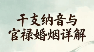 干支纳音与官禄婚姻详解pdf