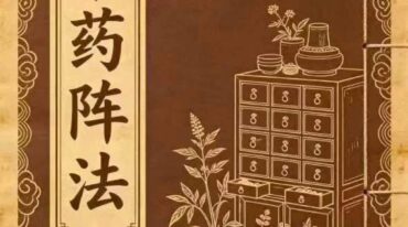 中药阵法98页pdf