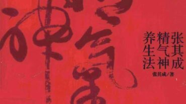 张其成精气神养生法张其成著259页pdf