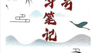 选号学习笔记pdf