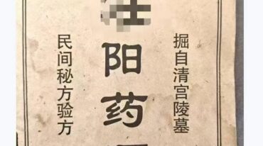 清宫民间验方zhuang阳药酒pdf