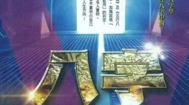 秦震 八字总动员430页pdf