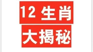 12生肖大揭秘227页pdf