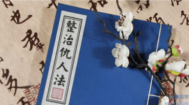 整治仇人法pdf