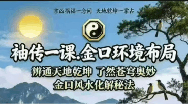 袖传一课 金口环境布局177页pdf