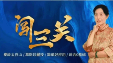 魏玉珍 闯三关 六集视频