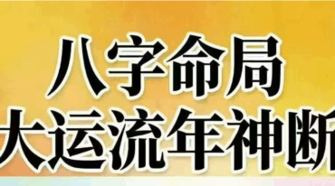 王国亮 八字命局大运流年神断 富贵天干定342页pdf