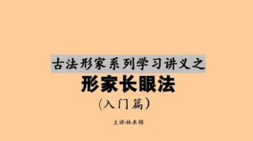 林来锦 形家长眼法197页pdf