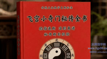 飞宫小奇门秘传全书pdf