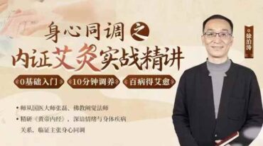 徐泊涛 身心同调之 内证艾灸实战精讲