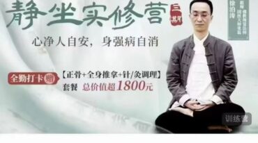 徐泊涛 身心同调之静坐实修营线上 三期