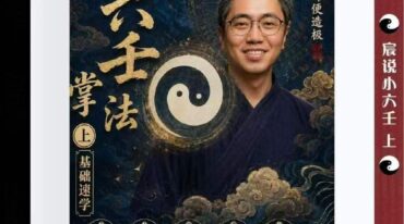 伍法宸 宸说小六壬2册