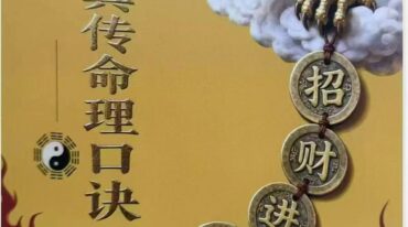 夏光明 夏氏真传命理口诀301页