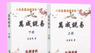 万成说易