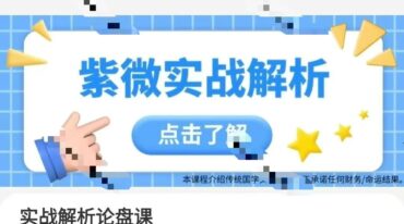 宛烨紫微斗数实战解析论盘课