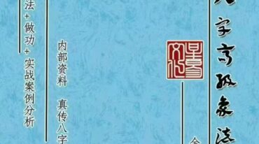 盲派八字高阶象法 宋兆国pdf