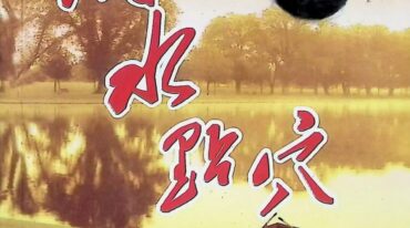 风水点穴百图401页pdf