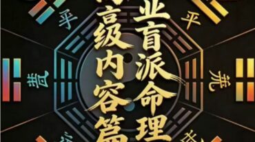段建业盲派命理高级内容篇pdf