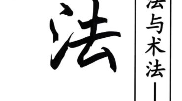 点穴秘籍 理法 葬法与术法187页pdf