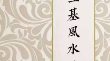 种生基风水改运pdf