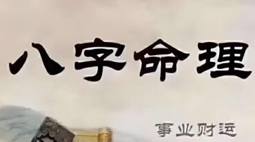 玄珠门八字18集