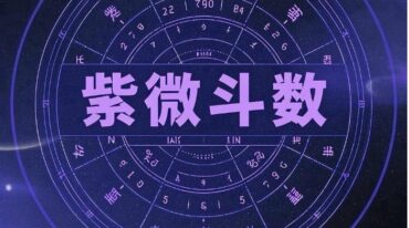 尤可唯紫微理法篇